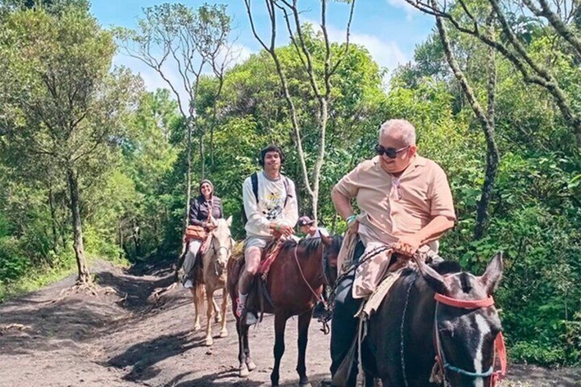 Three people riding horses on a dirt path through a forest. 2