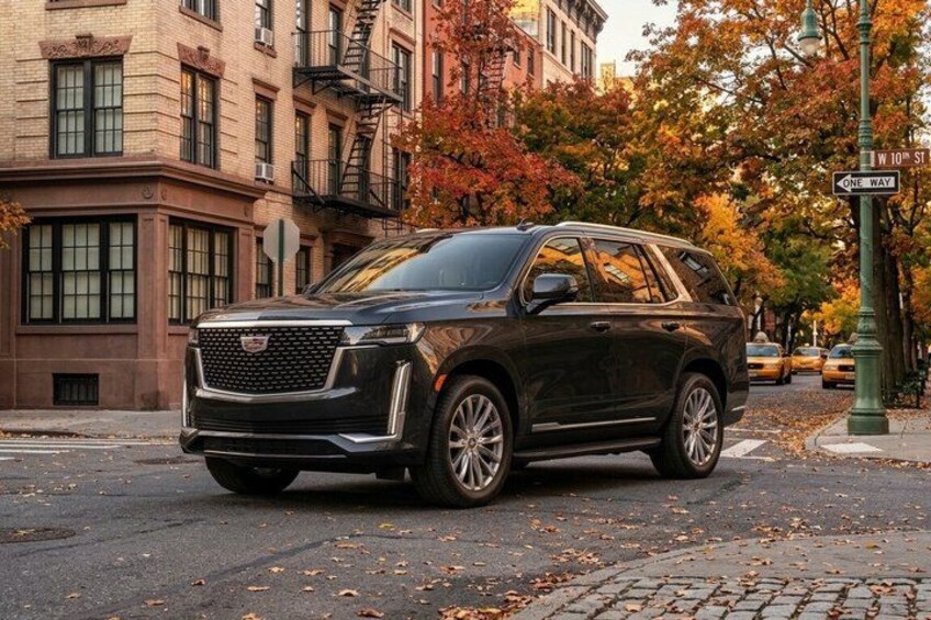 Top Rated Luxury Private VIP Tour by vehicle, Select 3 or 5 hours 5