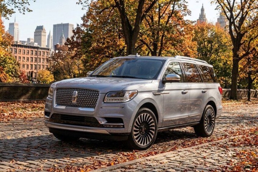 Top Rated Luxury Private VIP Tour by vehicle, Select 3 or 5 hours 1