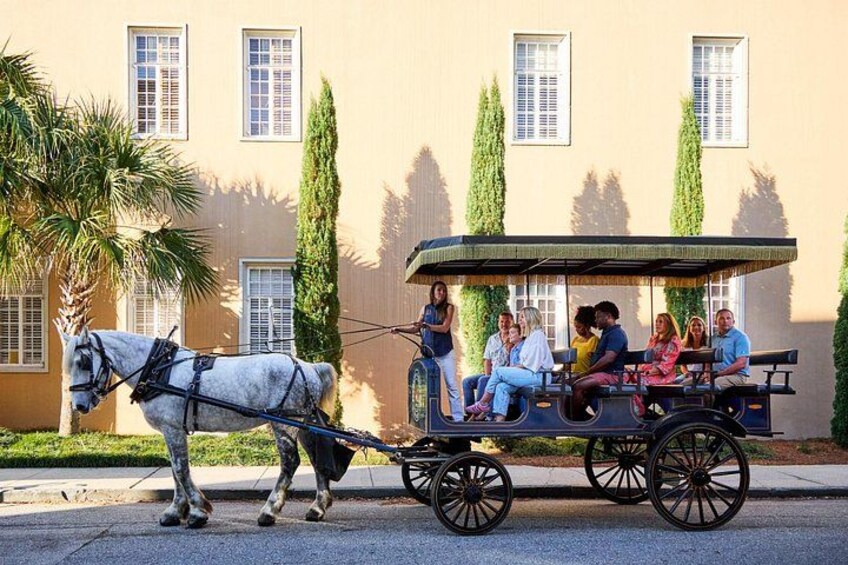 Charleston Horse-Drawn Carriage Tour: Explore Historic Charleston 5