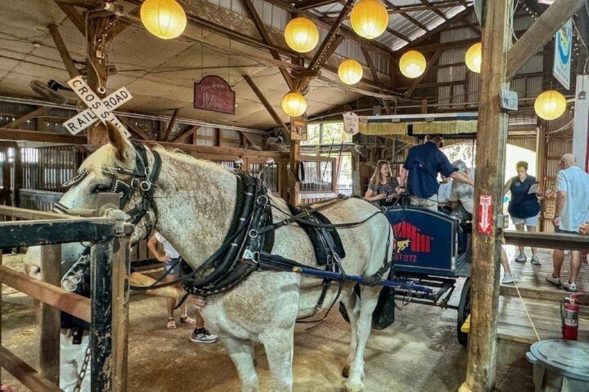 Charleston Horse-Drawn Carriage Tour: Explore Historic Charleston 3
