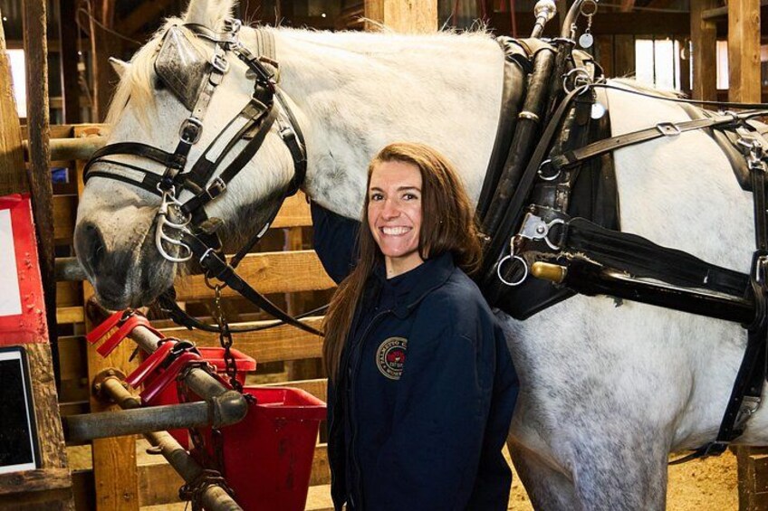 Charleston Horse-Drawn Carriage Tour: Explore Historic Charleston 2