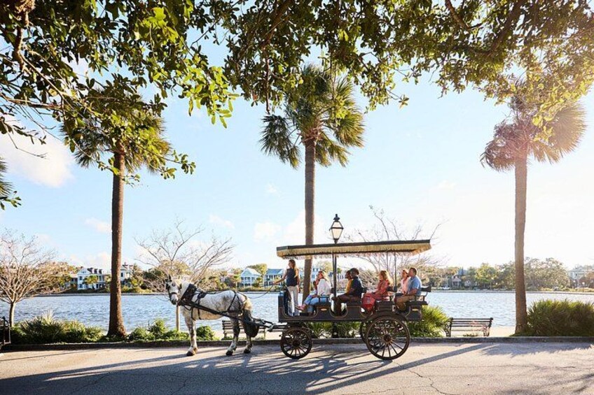 Charleston Horse-Drawn Carriage Tour: Explore Historic Charleston 4
