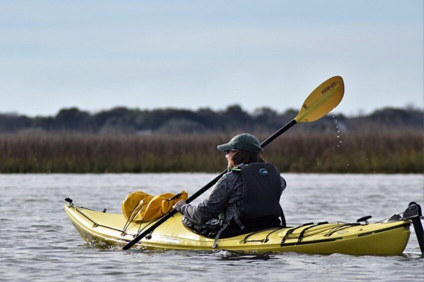 2-Hour Guided Kayak Eco Tour in Charleston 2