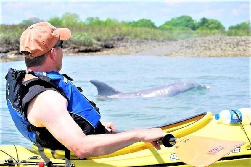 A person in a kayak observing a whale in the water. 3