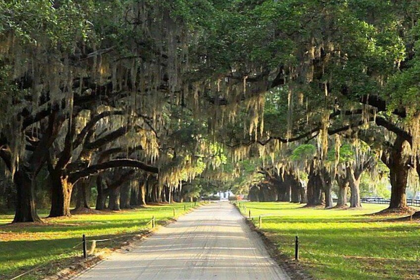 Boone Hall Plantation Tour 4
