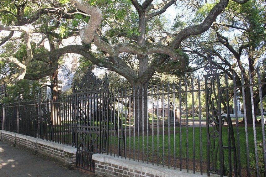 A tree-lined fence with a brick base, a grassy area, and a building in the background. 3