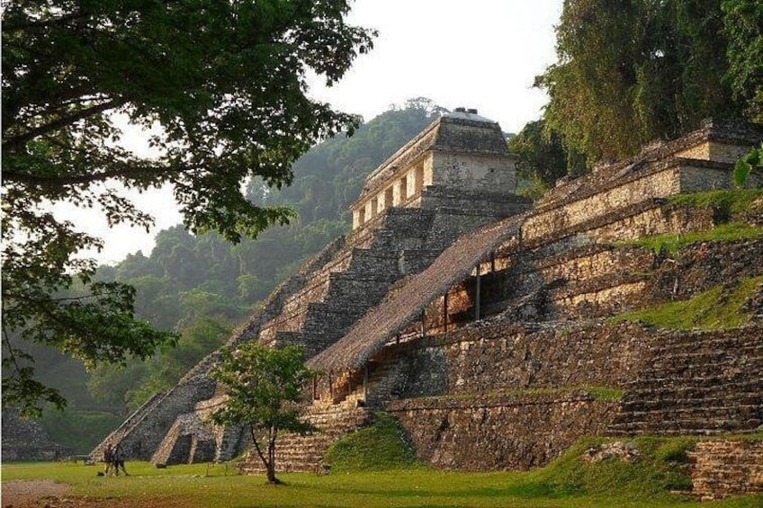 A large ancient pyramid with multiple levels, surrounded by lush greenery and trees. 3