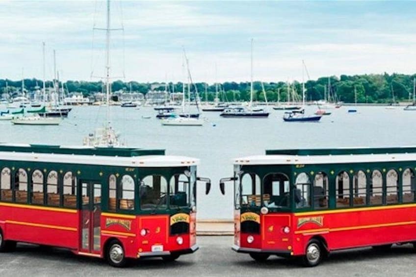 Dos autobuses rojos estacionados uno frente al otro, con un puerto deportivo y veleros al fondo. 1