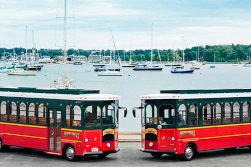 Two red buses parked facing each other with a marina and sailboats in the background. 1