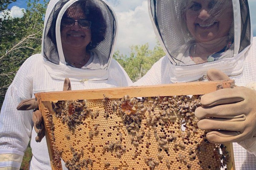 Grand Cayman Beekeeping Experience – Hands-On Hive Tour 3