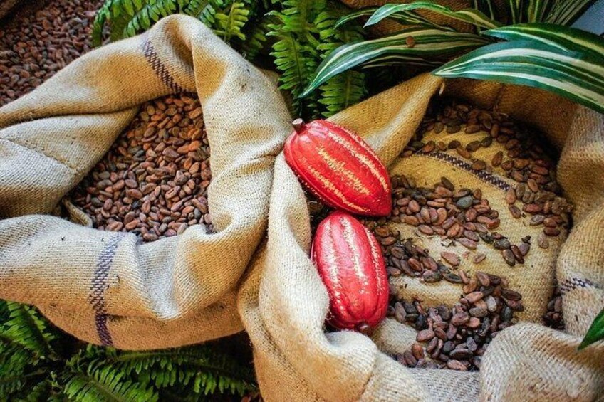 Sacos de arpillera llenos de granos de café y dos vainas de cacao rojo. 1