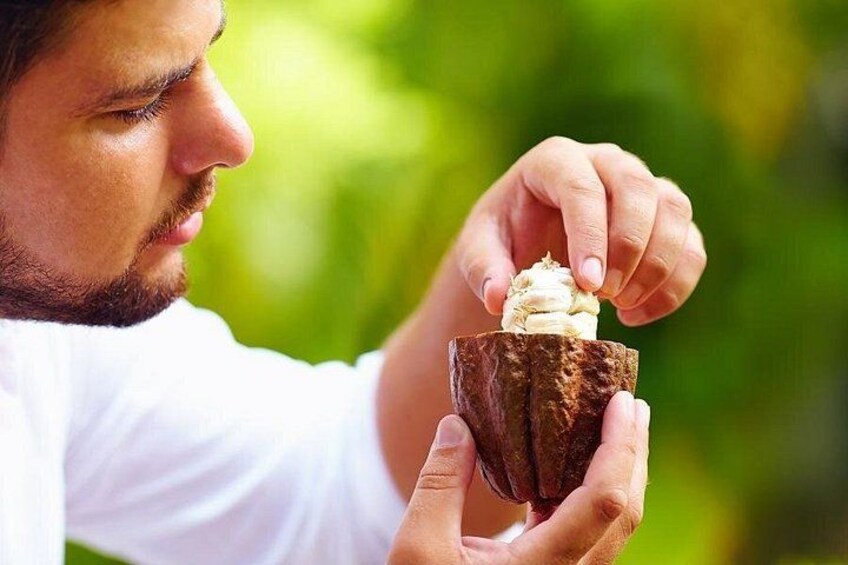 A person holding a chocolate-covered cupcake. 1
