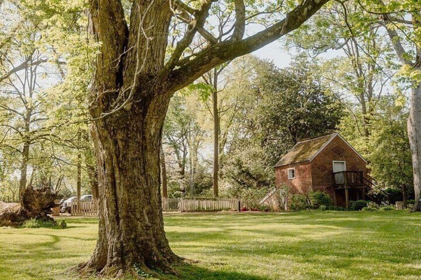 Belle Meade Guided Mansion Tour with Complimentary Wine Tasting 2
