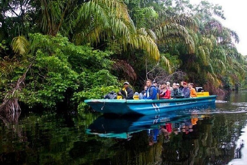 The Authentic Tortuguero National Park One Day Tour 1
