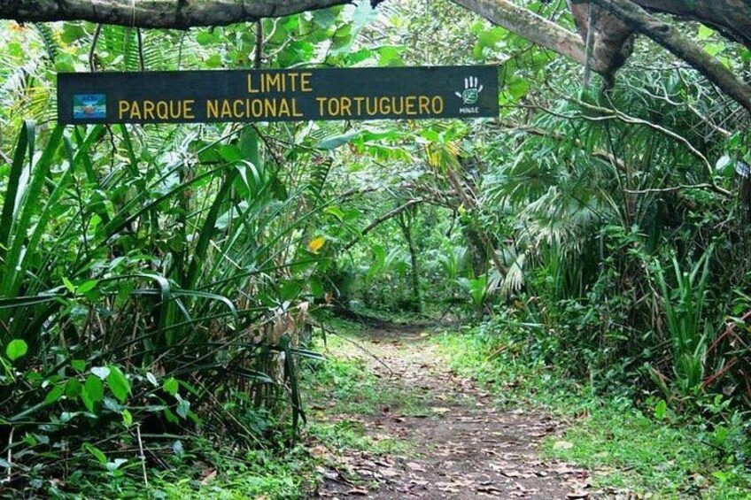 The Authentic Tortuguero National Park One Day Tour 2