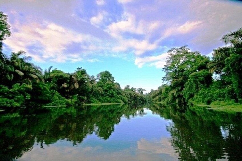 The Authentic Tortuguero National Park One Day Tour 3