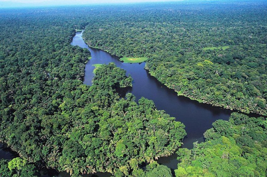 A river winding through a dense forest. 1