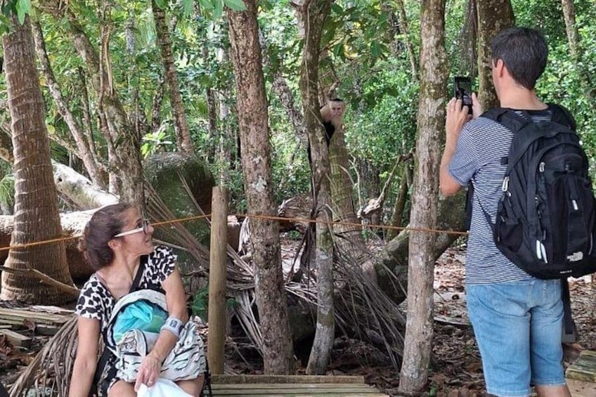 En person som fotograferar en apa i en skog. 2