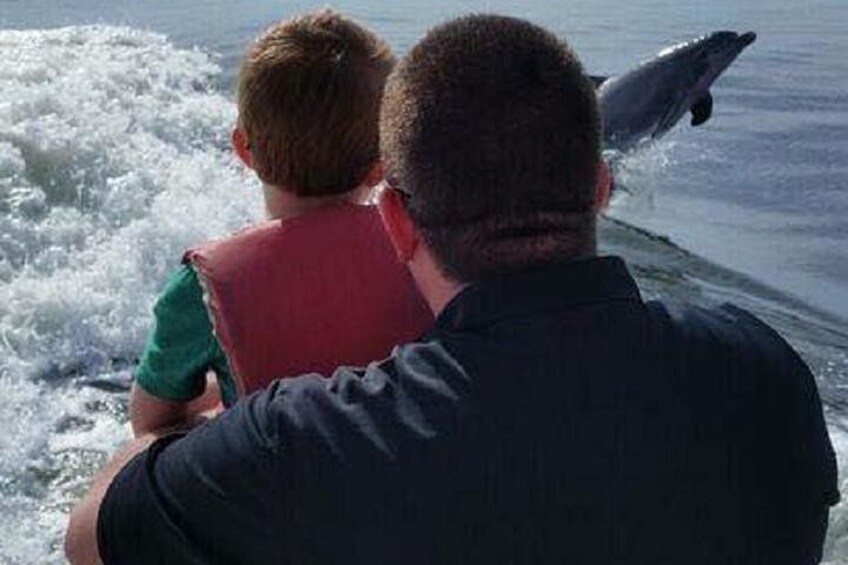 Alabama Gulf Coast Dolphin Cruise 5