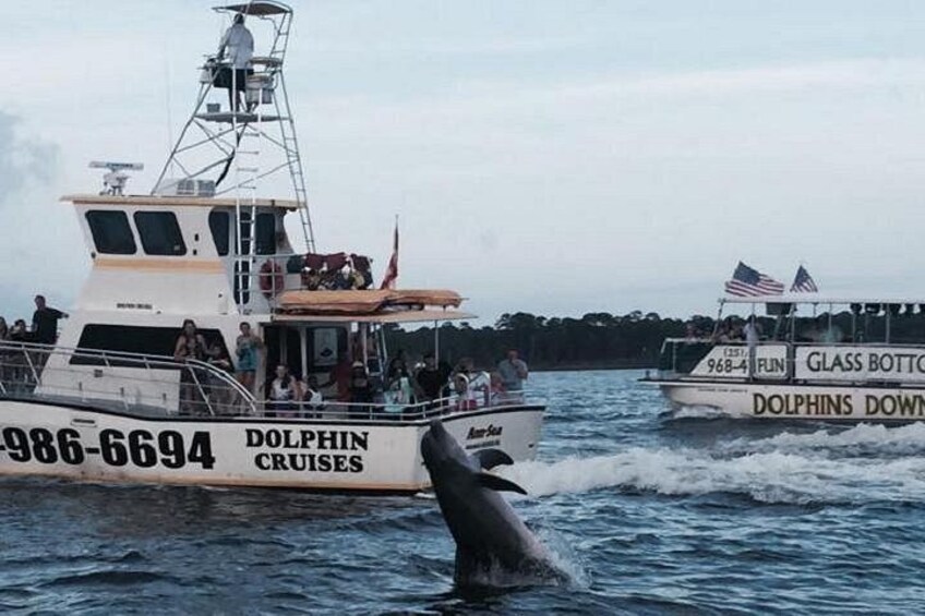 Een boot met de tekst 'DOLPHIN CRUISES' erop, een dolfijn springt uit het water en een andere boot op de achtergrond. 2