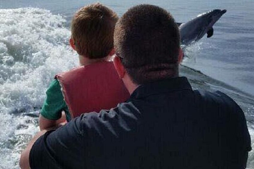 Alabama Gulf Coast Dolphin Cruise 5