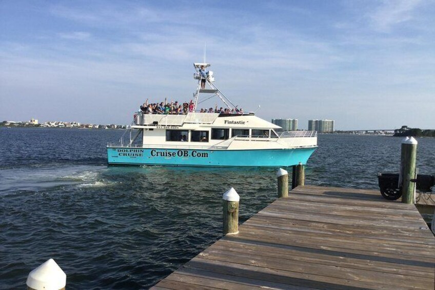 Alabama Gulf Coast Dolphin Cruise