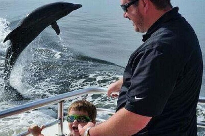 Alabama Gulf Coast Dolphin Cruise 2