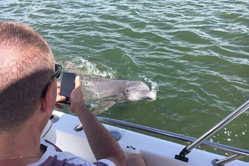 Private Hilton Head Dolphin Watching Tour with Waterfront Dining Stops