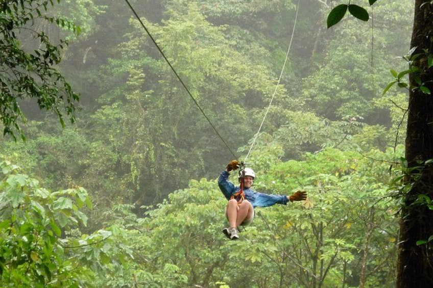 Canopy 1