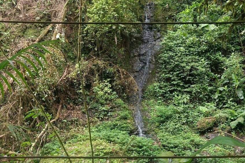 Adventure Zip Lining at the Cloud Forest from San José 2