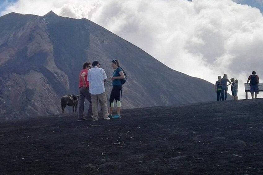 ¡Pacaya Volcano Tour from Antigua! 5
