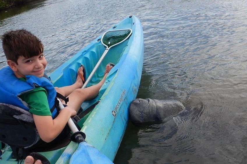 Manatee and Dolphin Kayaking | Wildlife Refuge (Titusville) 1