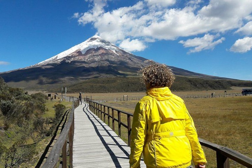 Cotopaxi Volcano full day tour with all the entrances, every day 1