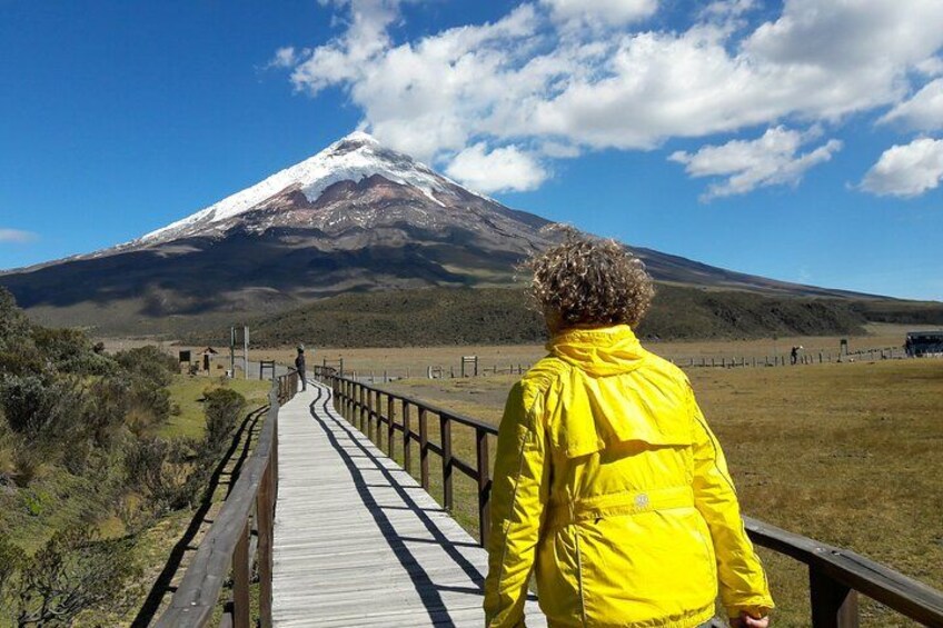 A person in a yellow jacket walking on a wooden boardwalk towards a snow-capped mountain. 1