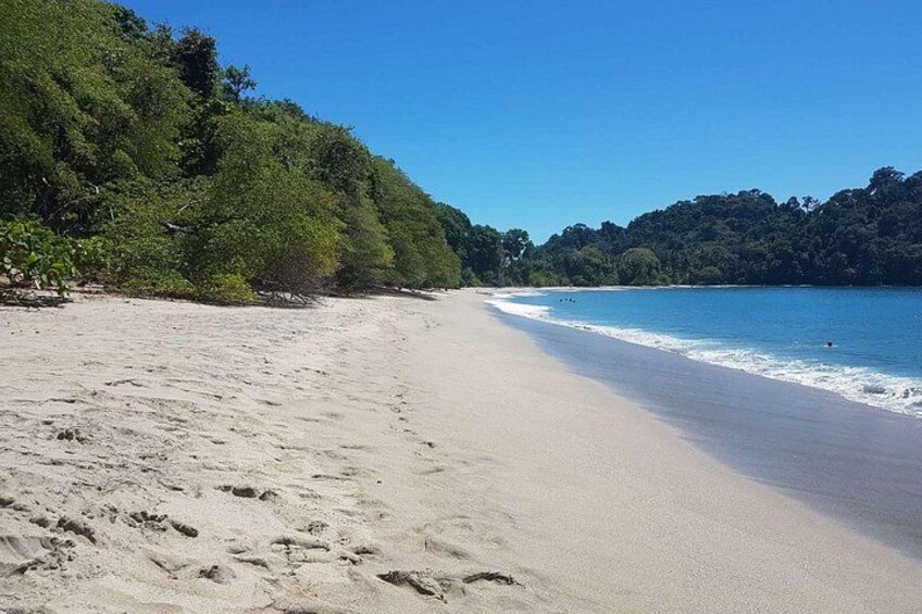 A sandy beach with clear blue water and dense green foliage on the hills. 5