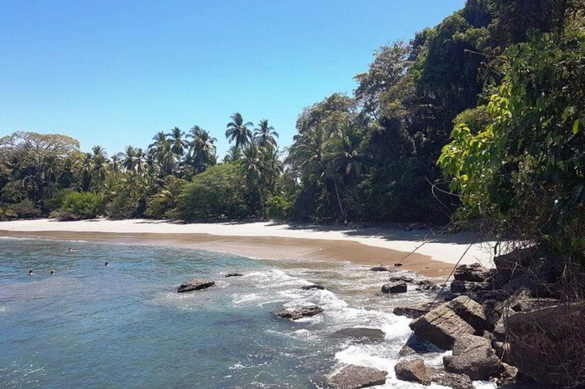 A beach with clear water, sandy shore, and palm trees. 4