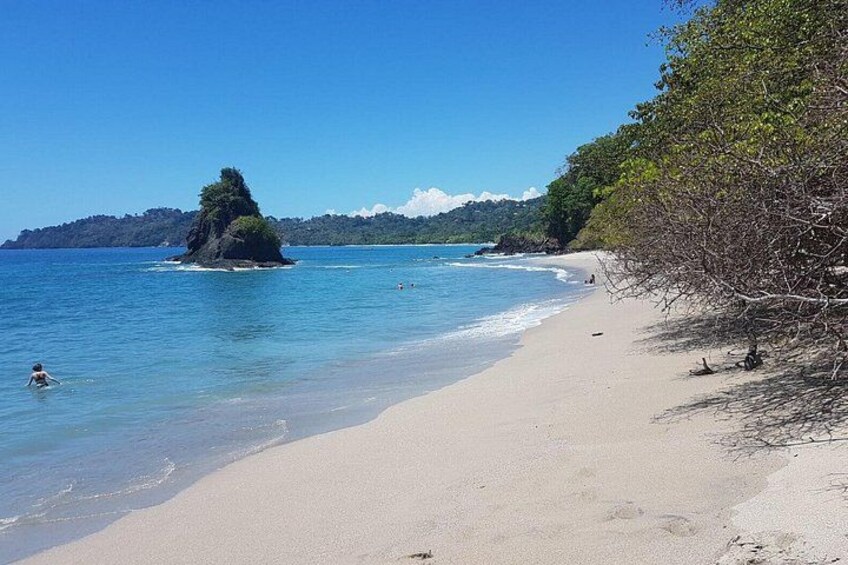 A beach with clear water, a small island, and a forested area. 5
