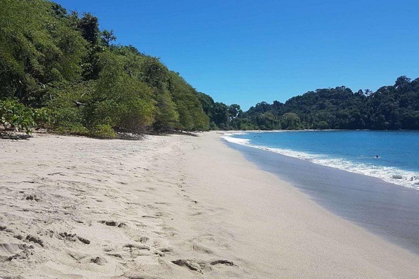 A sandy beach with clear blue water and dense green foliage on the hills. 2