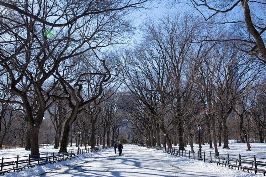 Central Park Photo Safari Tour