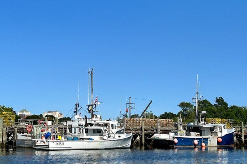 A marina with several boats docked, a clear blue sky, and a calm water surface. 2