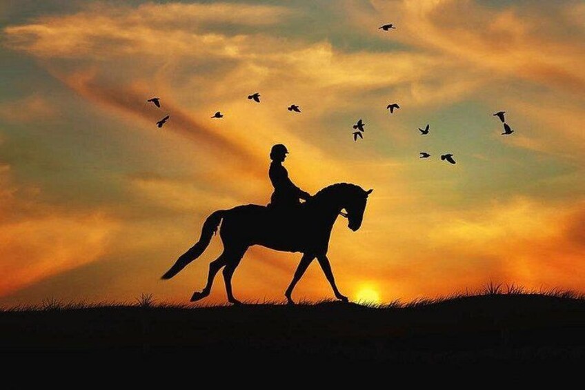 A silhouette of a person riding a horse against a sunset sky with birds flying. 3