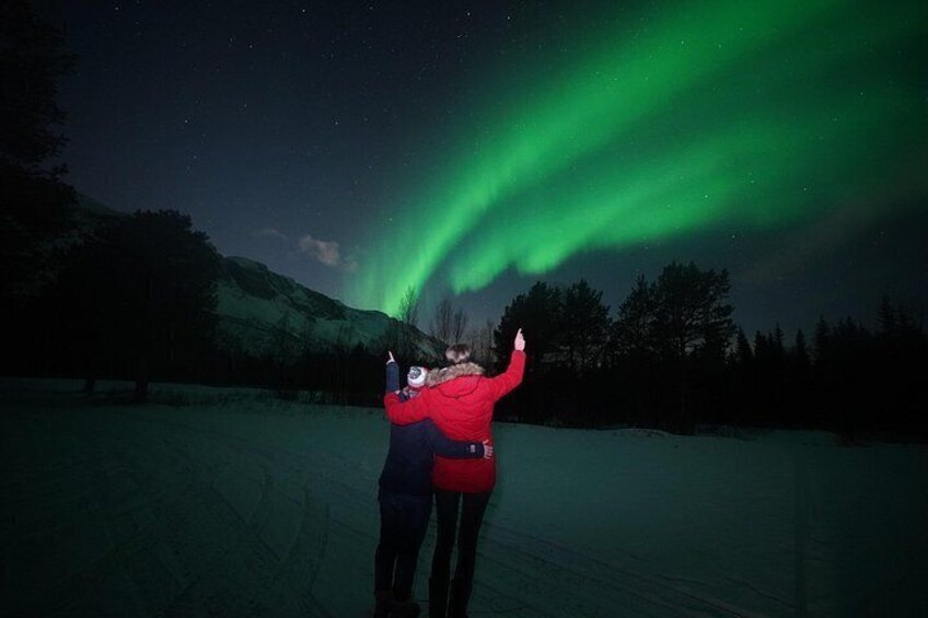 A person in a red jacket observing the northern lights in a snowy landscape. 1