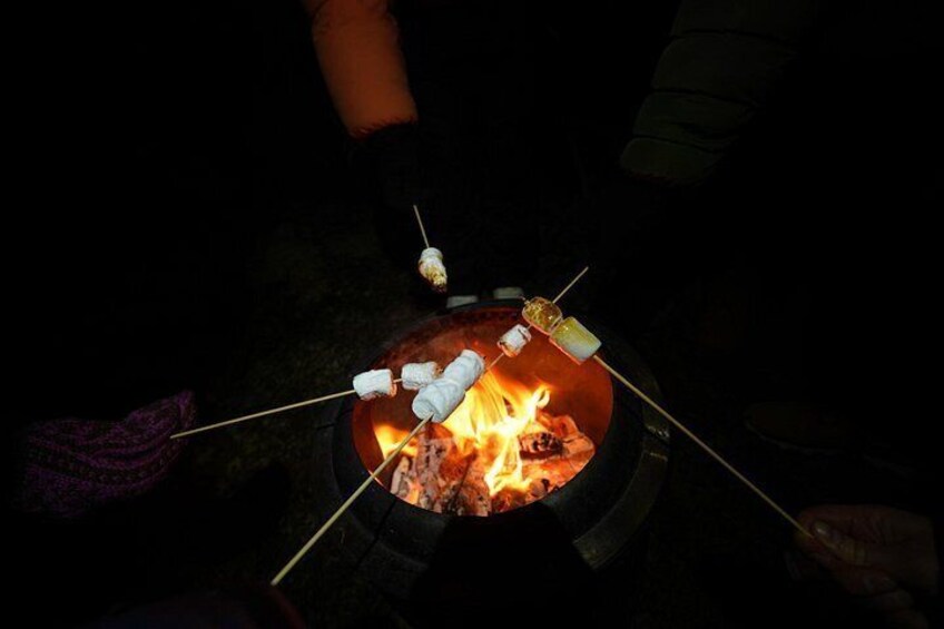 Aurora tour small group free portrait and bonfire 5