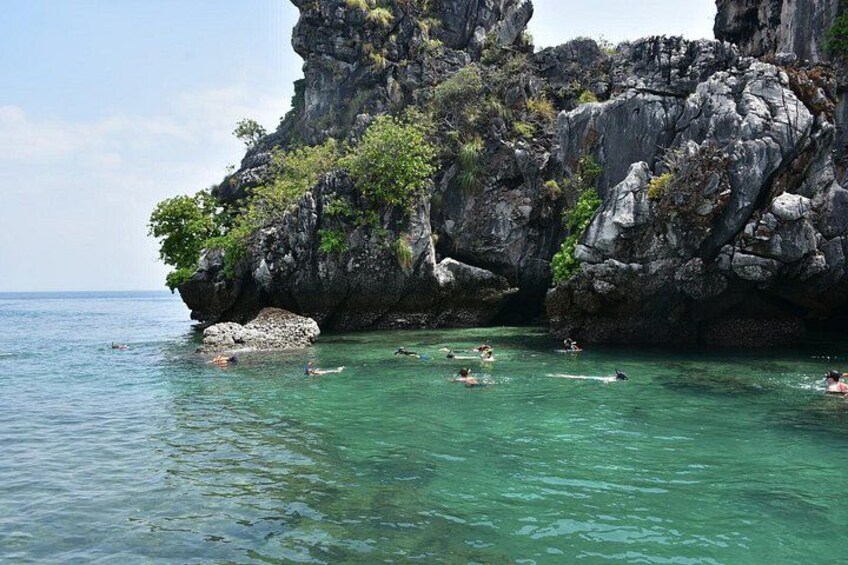 A rocky coastline with clear turquoise water, people swimming, and lush greenery on the cliffs. 4