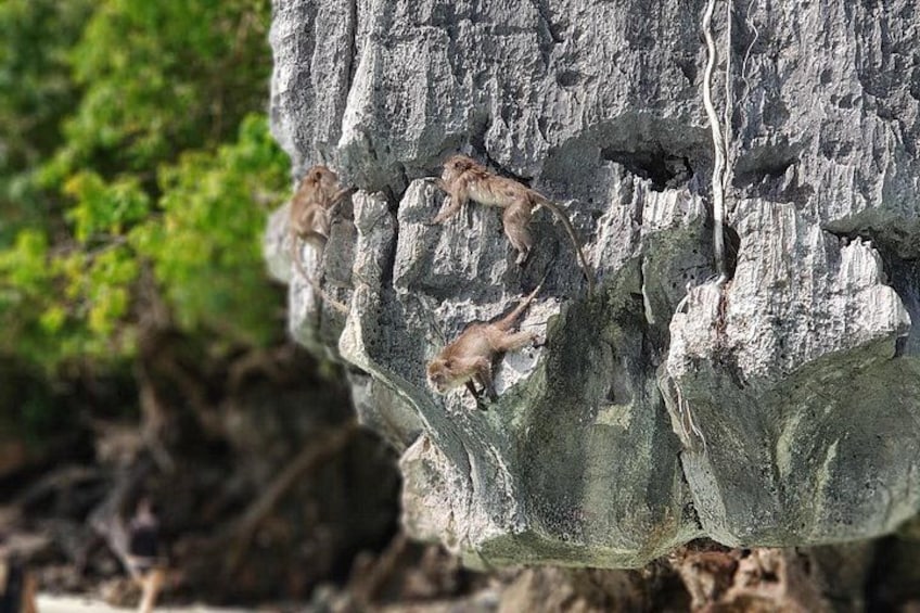 A rock formation with small animals climbing it. 2