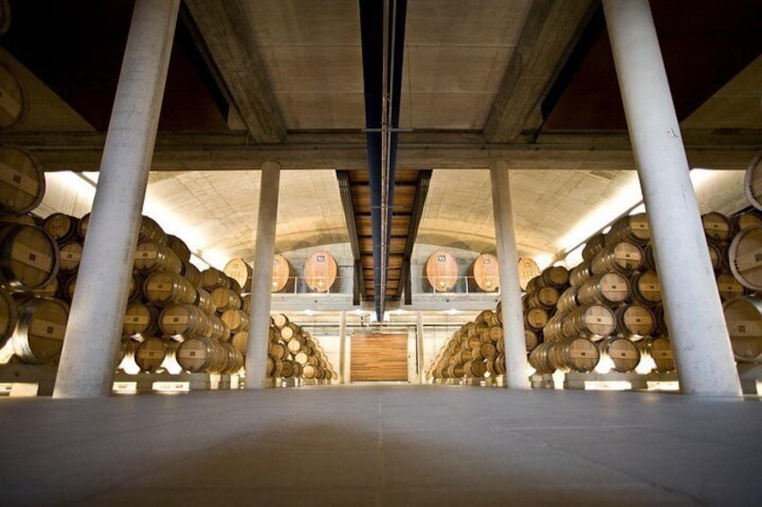 Secret Rioja: Exclusive Winery Access and Tasting Masterclass 3