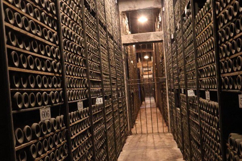Secret Rioja: Exclusive Winery Access and Tasting Masterclass 5