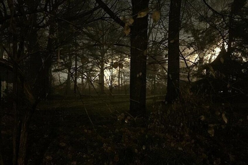 Lemp Haunted Neighborhood Walking Tour 2