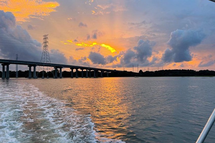 Private Hilton Head Sunset Dolphin Cruise - Up to 6 Guests 4